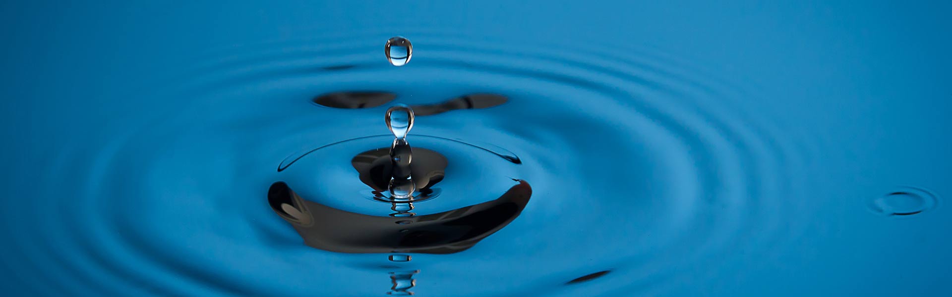 From study to maintenance