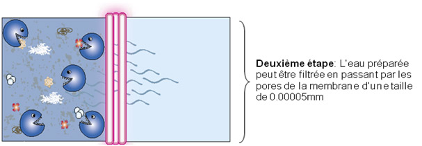 traitement microclear étape 2